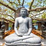 Voyager au Sri Lanka pour une découverte culturelle