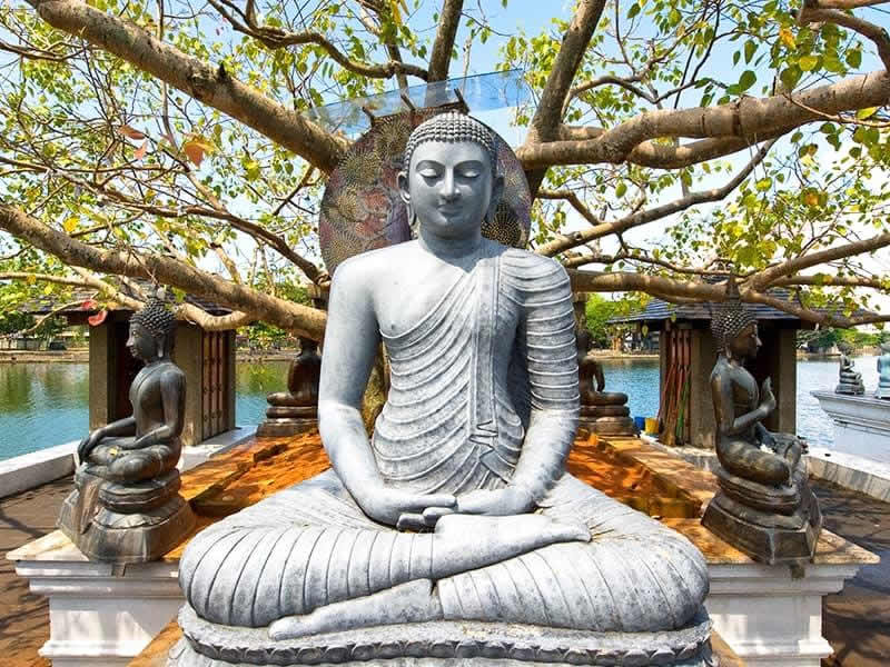 Voyager au Sri Lanka pour une découverte culturelle