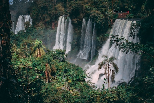 les merveilles de la nature