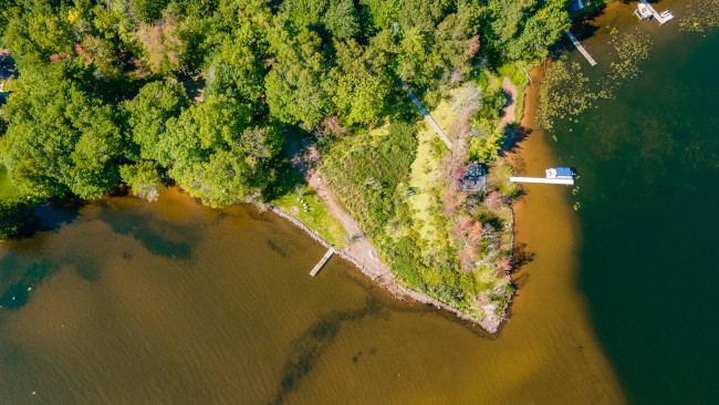 L'importance des zones humides côtières pour la biodiversité marine