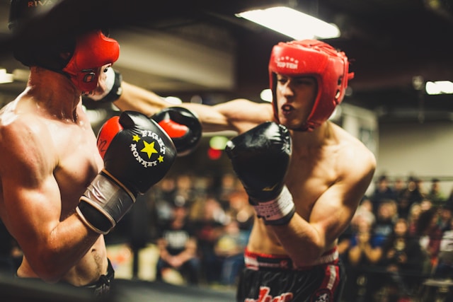 differente boxe